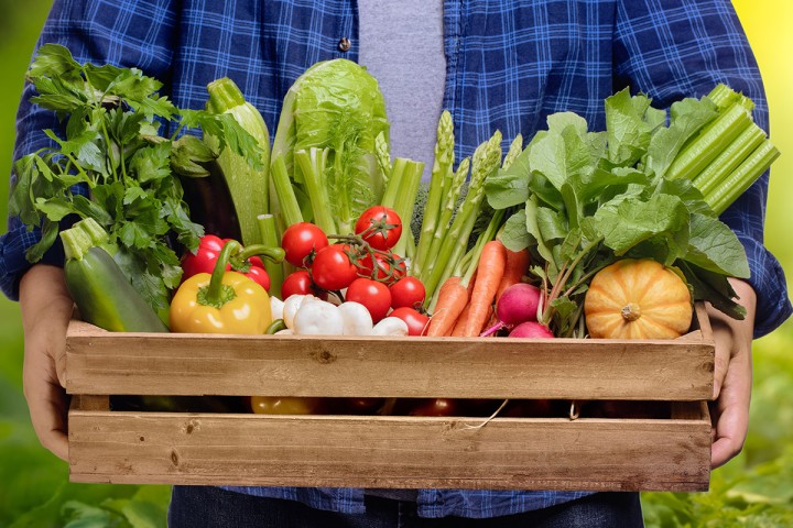 DigitalHub „Farm&Food" im Oldenburger Münsterland mit 440.000 Euro gefördert